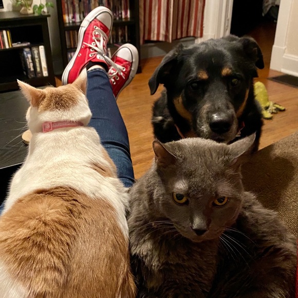 Meet your Posher, Rachel - Picture 7 of 8